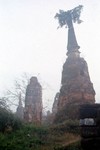 Ayutthaya ruins with foliage cap 