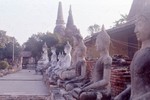  Row of Buddhas (Thailand ... Ayutthaya??) 