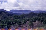  It must be the mountainsides around Chiangmai. I went up to see the villages there
