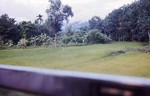
 View from train or bus in southern Thailand