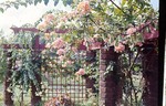 Flower Arbor Ladda Land
