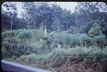 Southern Thailand