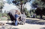 Elephants at work 12-11-70