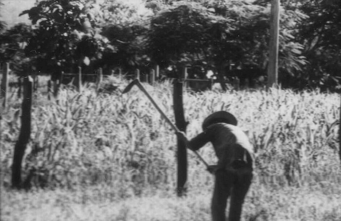 farmer