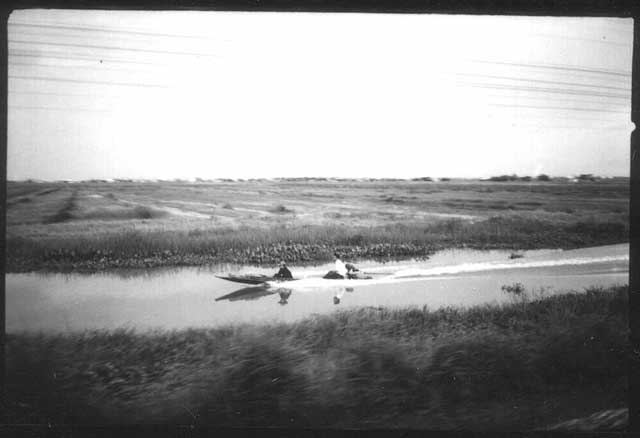 fromTheTrain