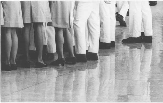 gradlegs