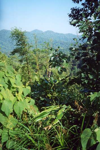 Paul went hiking inside Kaeng Krachien National Park