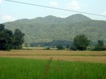 DSCF0945