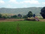DSCF0946