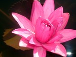 DSCF1041