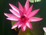 DSCF1042