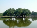 DSCF1116