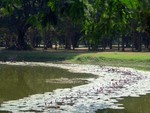 DSCF1117