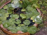 P1010073