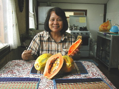 Pikun in the kitchen