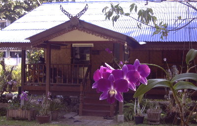 The Homestead