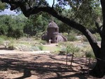 Toad Hall, Santa Barbara (CA) Botanical Garden, August 2005.