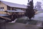 The Big rain at Pepeekeo