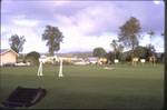 Sports grounds in front of our school on a dry day